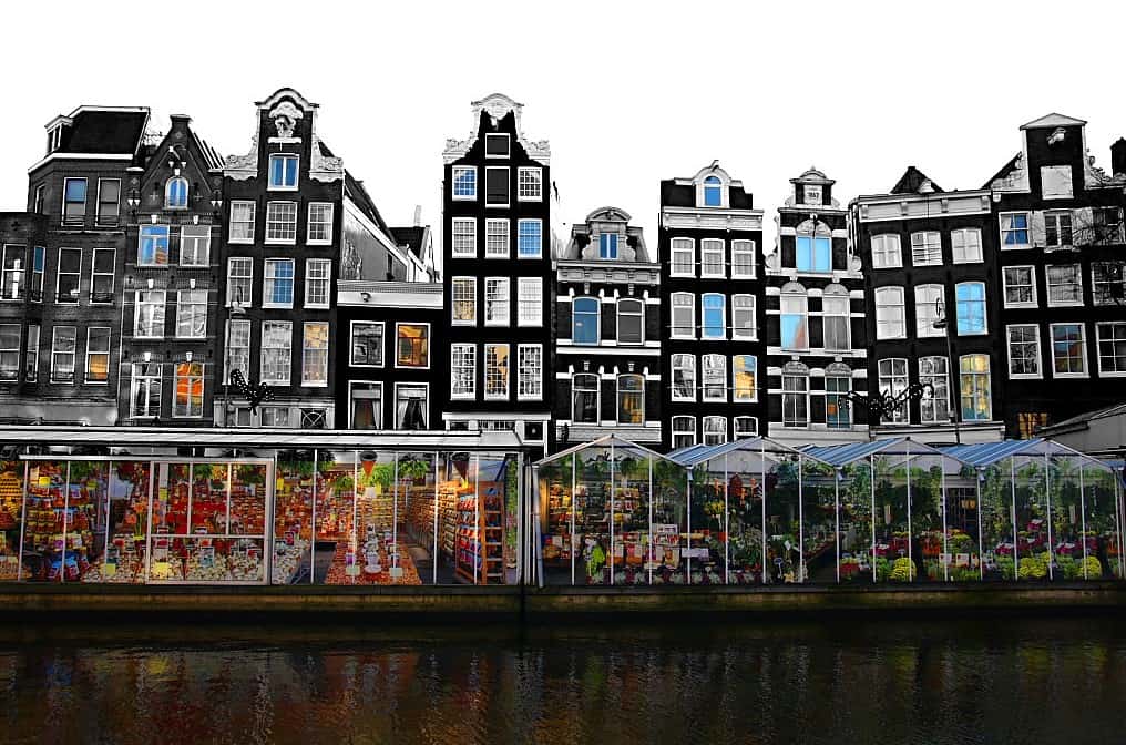 Mercato dei Fiori Amsterdam
