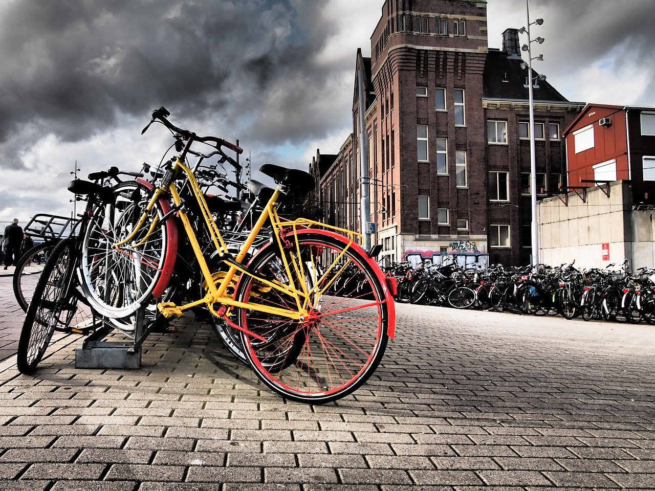 Olanda in bicicletta